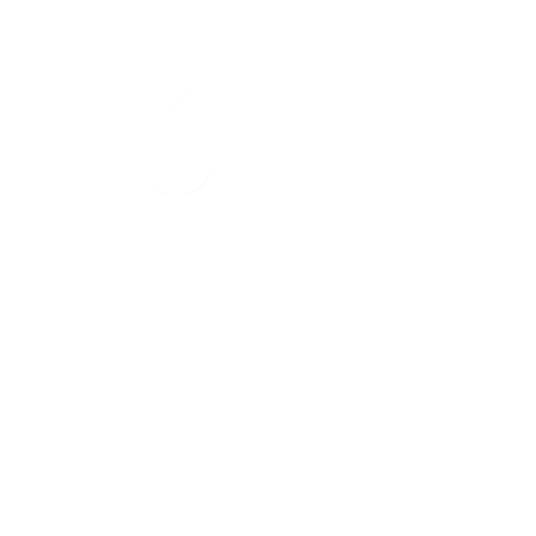 Alexus Logo